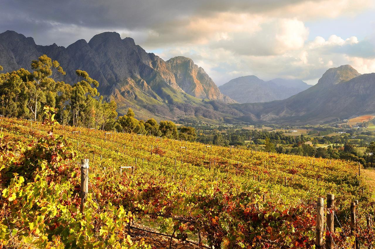 La Petite Ferme Ξενοδοχείο Franschhoek Εξωτερικό φωτογραφία